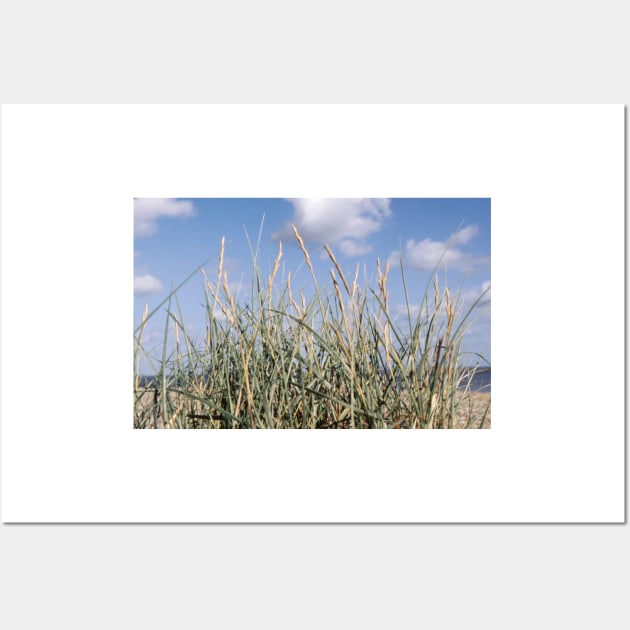 Marram Grass Wall Art by jamesknightsart